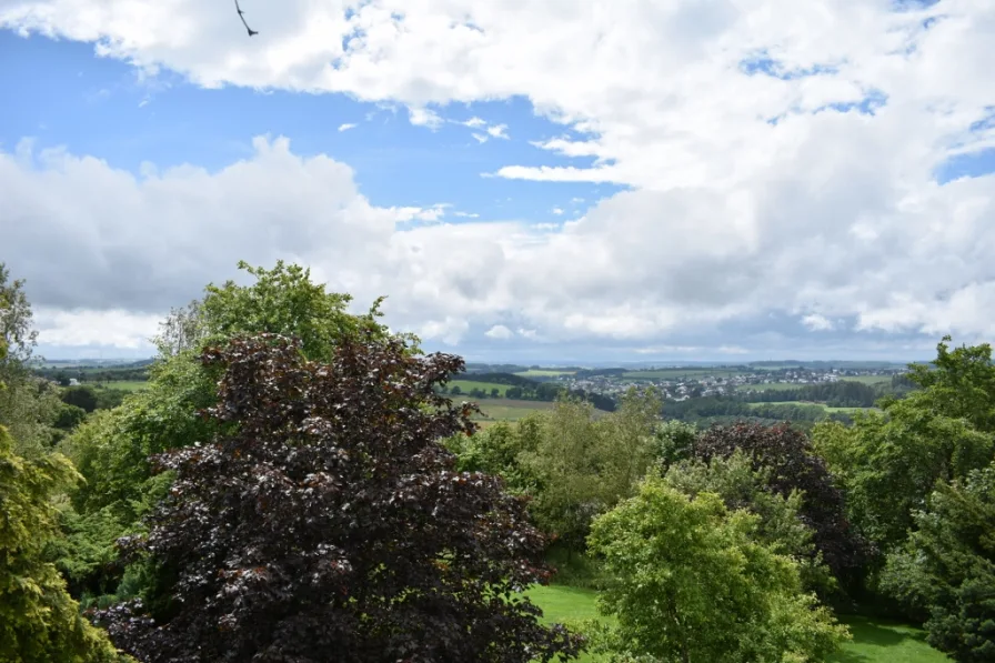 Bauen mit Weitsicht  - Grundstück kaufen in Buchet - **Baugrundstück mit herrlichen Weitblick in der Eifel zu kaufen**