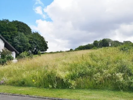 Straßenansicht 1 - Grundstück kaufen in Balesfeld - **Baugrundstück mit weitem Eifelblick**