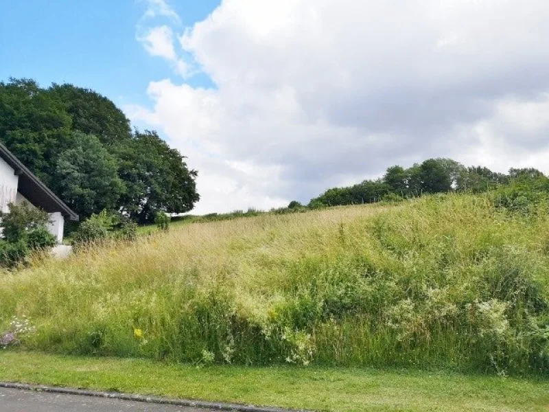 Straßenansicht 1 - Grundstück kaufen in Balesfeld - **Baugrundstück mit weitem Eifelblick**