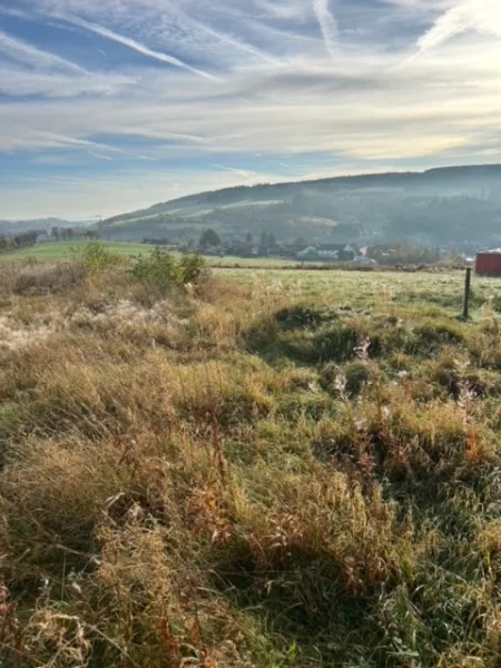 herrlicher Weitblick - Grundstück kaufen in Hallschlag - **Baugrundstück in Randlage mit herrlichem Weitblick, grenznah zu Nordrhein-Westfalen**