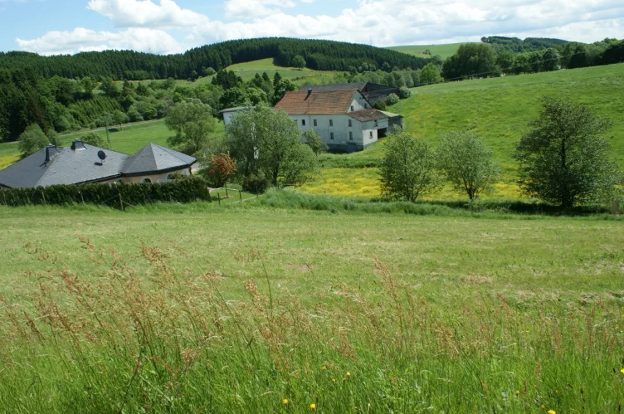 Grundstück - Grundstück kaufen in Neuendorf - **Voll erschlossenes Baugrundstück mit Weitblick in der Eifel**