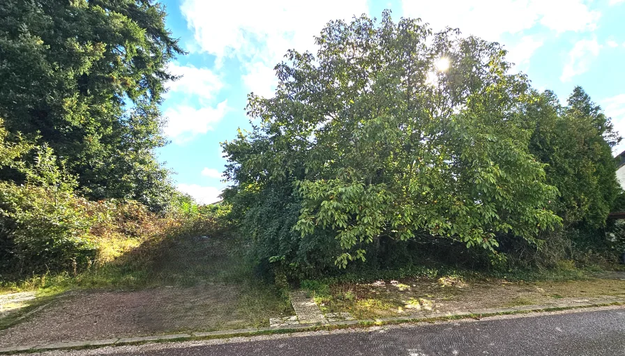 Baugrundstück Front 19 m - Grundstück kaufen in Wallerfangen - Baugrundstück in Oberlimberg, Natur pur!