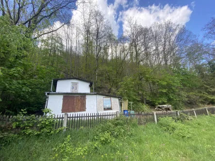 Blick auf den Eichenwald - Grundstück kaufen in Rudolstadt - Wald mit Gartenhaus im Gemeindetal Schwarza