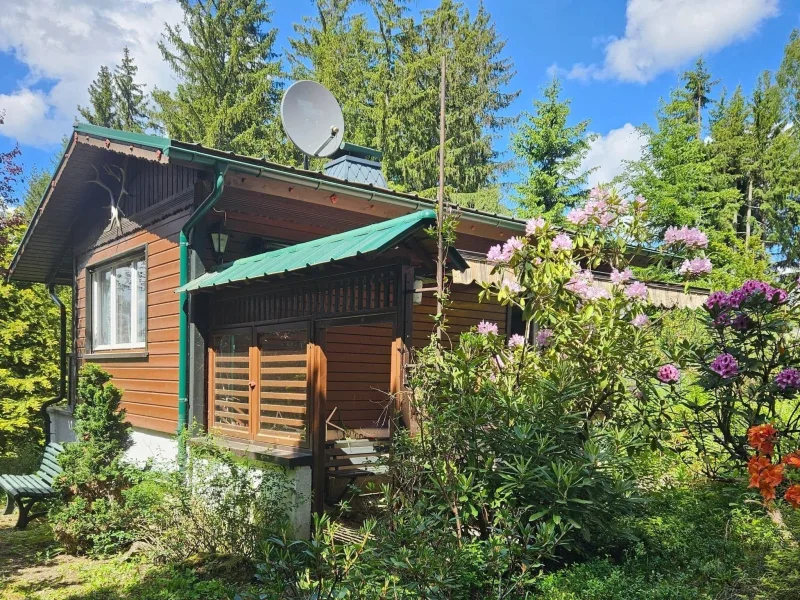 Blick von Südwesten - Grundstück kaufen in Saalfeld - AUSZEIT-RUHE-NATUR - IHR Lieblingsplatz im Wald!