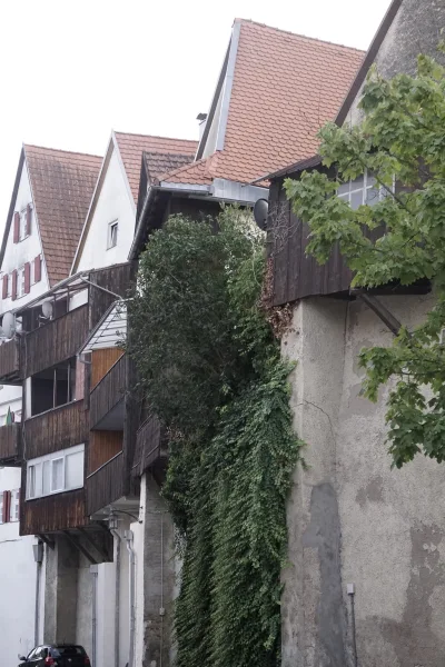  - Haus kaufen in Lauingen (Donau) - Denkmal EFH: Historischer Charme mit steuerl. Anreizen"