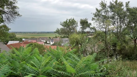  - Grundstück kaufen in Holzheim / Eppisburg - Paradiesisches Bauland in Süd-West Hanglage mit gigantischem Ausblick!Grundstücksteilung möglich!