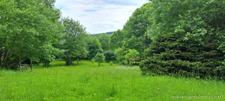 Garten Bild 3 - Grundstück kaufen in Sankt Englmar - Herrliche Aussichtslage! 2.400 qm Baugrund mit Altbestand am Südhang von Sankt Englmar