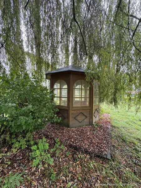 Teich mit Pavillon