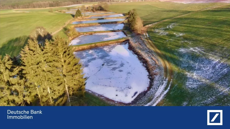  - Land- und Forstwirtschaft kaufen in Freudenberg -  Traumhaftes Grundstück mit 4 Fischteichen