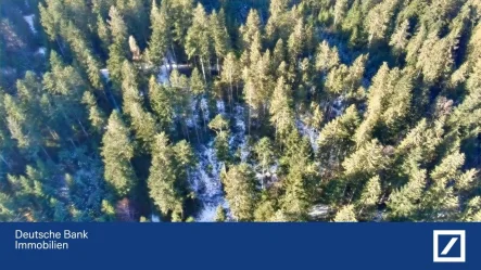  - Grundstück kaufen in Prackenbach - Waldgrundstück in Prackenbach .....100-jähriger Mischwaldbestand