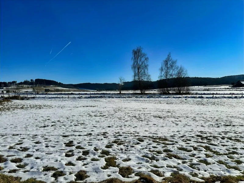 Blick  von der Terrasse