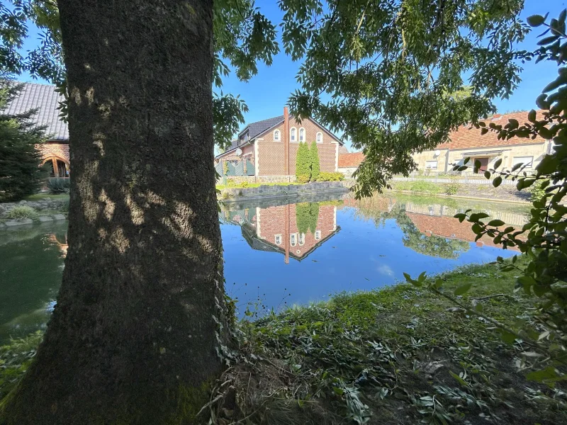 Teich direkt am Grundstück