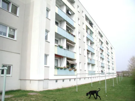 AZ 0737 Wittenb. Rückseite 56-52.JPG - Wohnung mieten in Wittenburg - Schöne 2,5 Zimmer mit Balkon!