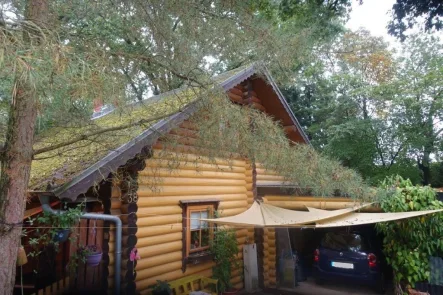 Giebelseite - Haus kaufen in Tosterglope - Komfortables Holzhaus im Grünen auf großem Waldgrundstück