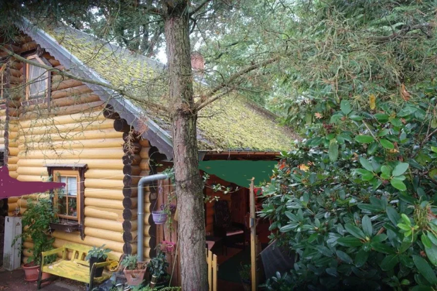 Holzhaus am Wald - Haus kaufen in Tosterglope - Komfortables Holzhaus am Waldrand zu verkaufen