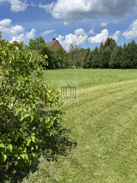 IMG_3303 - Grundstück kaufen in Leeskow - Ihr Traum vom Eigenheim im wundervollen Leeskow