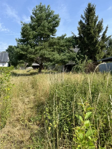 IMG_3442 - Grundstück kaufen in Lübbenau - Ihr Traum im Spreewald kann wahr werden