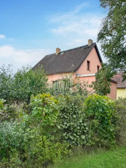 IMG_3761 - Haus kaufen in Sedlitz - charmantes Einfamilienhaus in super Lage von Sedlitz