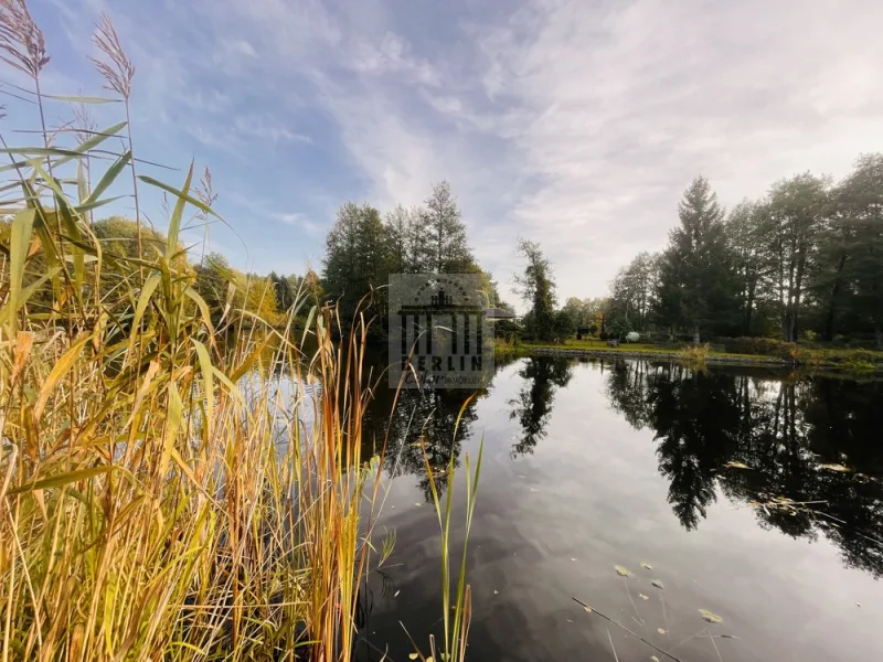 Großer Burgwaller Stich 