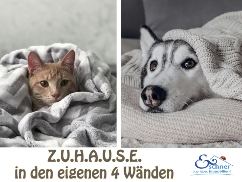 Willkommen! - Wohnung kaufen in Undenheim - Wohntraum mit 5 Räumen und Dachterrasse