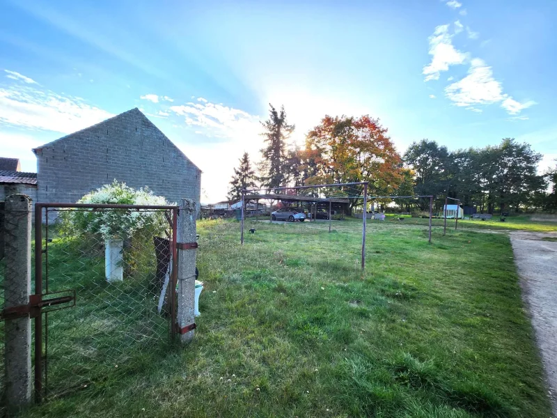 Blick in den Garten