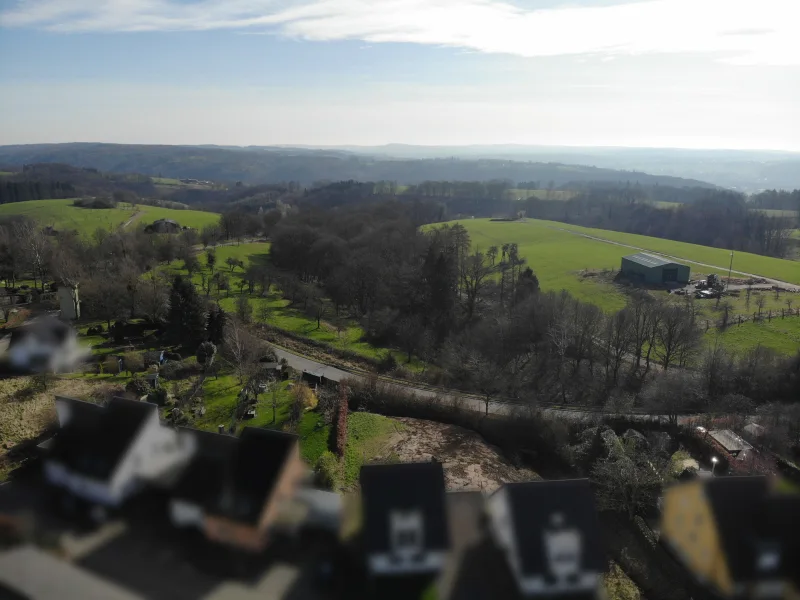 Ausblick ins Grüne