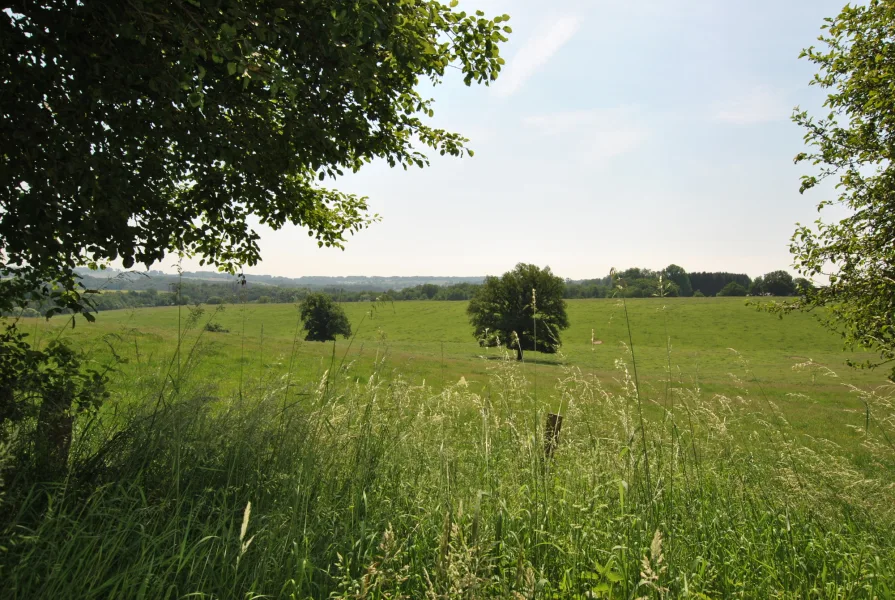 Weitblick in der Nähe