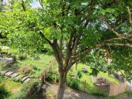 Gartenblick von der Dachterrasse aus