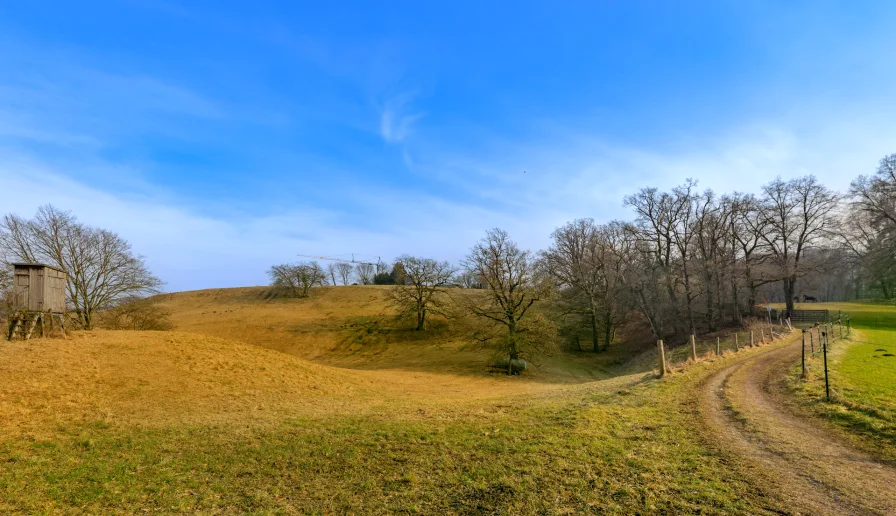 Natur direkt hinterm Haus