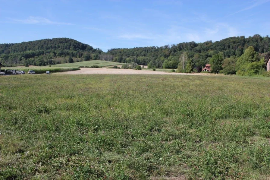 Grundstück - Grundstück kaufen in Hessisch Oldendorf - 693 m² Baugrundstück: Nutzen Sie Ihre Chance, Ihr eigenes Traumhaus zu bauen.