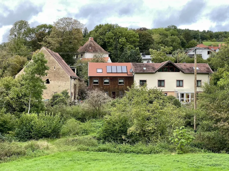 Außenansicht - Haus kaufen in Gersheim - Traumhafter Landsitz in Alleinlage: Ihr privates Paradies in Gersheim-Walsheim