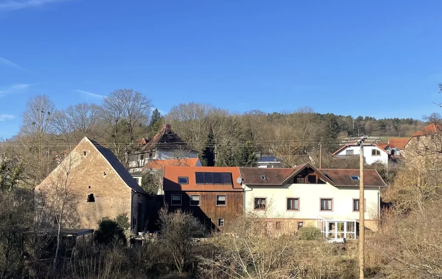 Außenansicht - Haus kaufen in Gersheim - Idyllisches Anwesen mit Charme und Privatsphäre in Gersheim-Walsheim