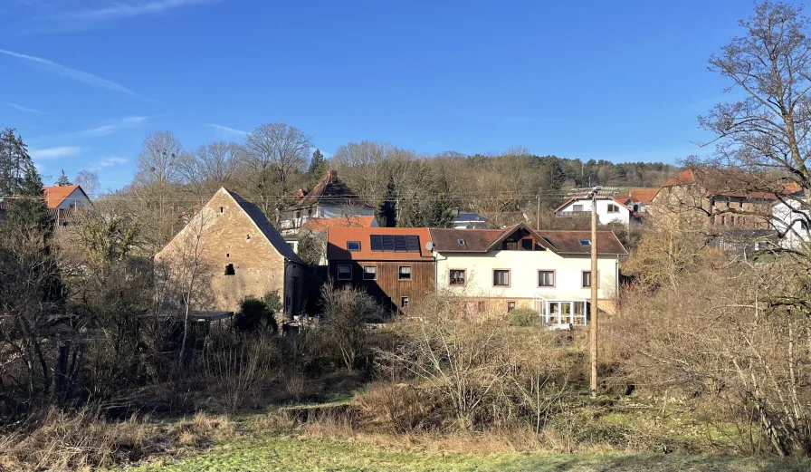 Außenansicht - Haus kaufen in Gersheim - Idyllisches Anwesen mit Charme und Privatsphäre in Gersheim-Walsheim