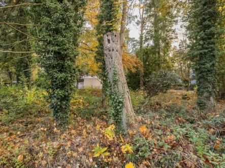 Grundstück - Grundstück kaufen in Schönwalde-Glien - *Ihr Traum vom Eigenheim: Großzügiges Baugrundstück mit 1.135 m² in idyllischer Lage*