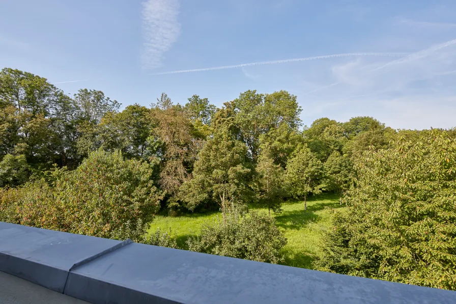 Ausblick vom Balkon im Dachgeschoss