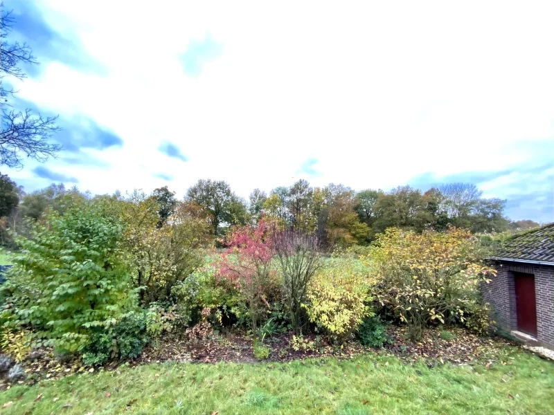 Blick von der Terrasse in die Natur