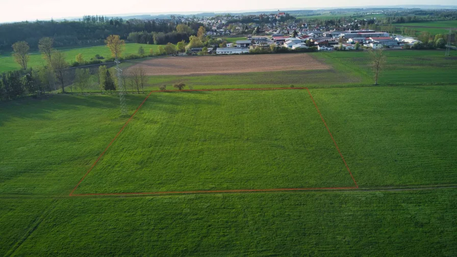 Ansicht Süd-Ost rot umrandet - Grundstück kaufen in Schemmerhofen - Attraktive Landwirtschaftsfläche! Gut andienbares Grünland in gesuchter Lage