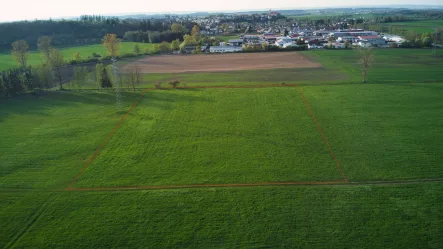 Ansicht Süd-Ost rot umrandet - Grundstück kaufen in Schemmerhofen - Attraktive Landwirtschaftsfläche! Gut andienbares Grünland in gesuchter Lage