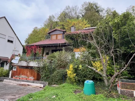  - Haus kaufen in Baden-Württemberg - Grenzach-Wyhlen - Ihr neues Zuhause steckt voller Potenzial: Architektenhaus mit Garten