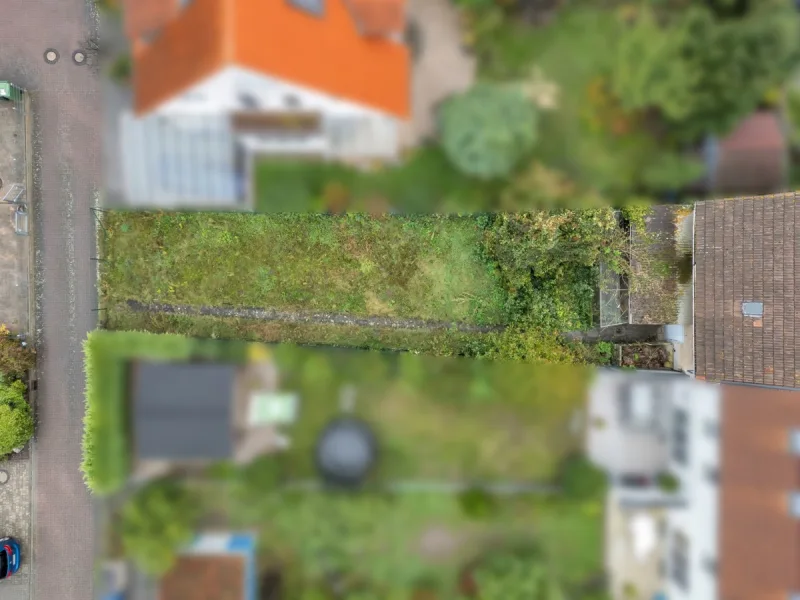 Ansicht Garten Vogelperspektive