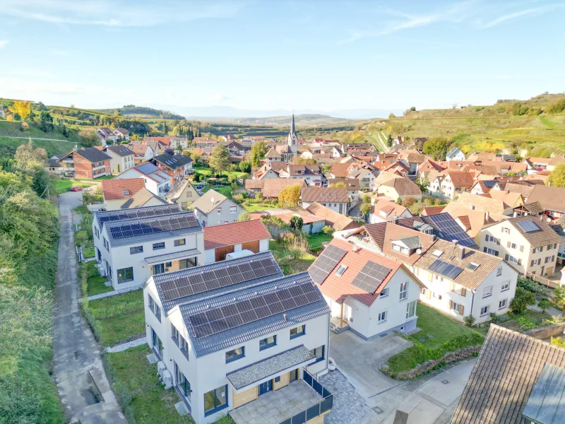 Blick über Bickensohl