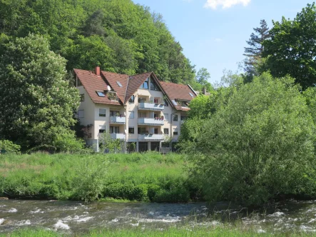 Blick von der Dreisam - Wohnung kaufen in Freiburg - Offenes Wohnen an der Dreisam