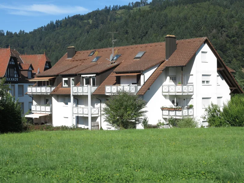 Blick aufs Haus - Wohnung kaufen in Gutach - Schöner Blick ins Grüne,in der Nähe des Golfplatzes!