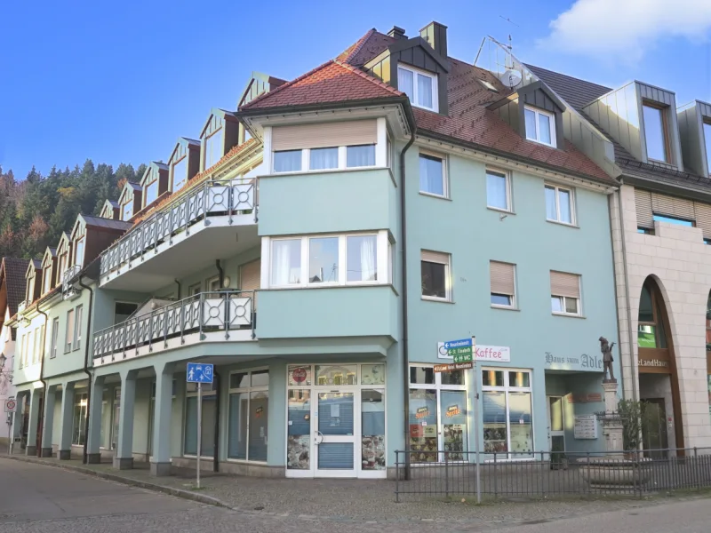 Blick aufs Haus - Wohnung kaufen in Elzach - Kapitalanlage in super zentraler Lage