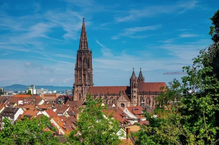 Freiburg - Gastgewerbe/Hotel kaufen in Freiburg - Investieren Sie jetzt in die Zukunft - Boardinghouse der Extraklasse inkl. acht eleganten Appartements!