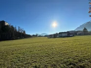 Wald- u. Wiesenspiel der Natur