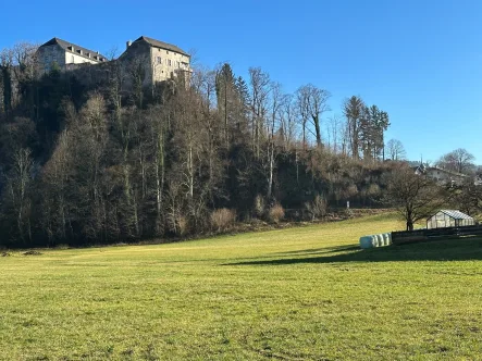 unverbaubarer Ortsrand - Grundstück kaufen in Marquartstein - Marquartstein: Traumgrundstück in Ortsrandlage am Fuße der Burg