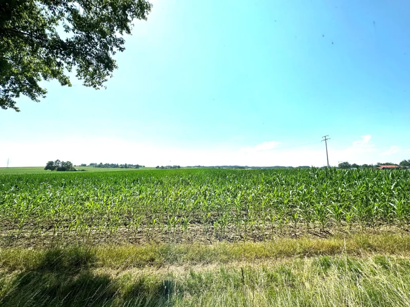 freier Blick Richtung Westen