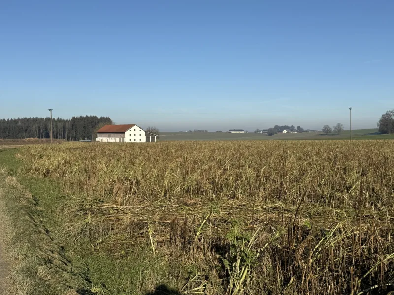 Zukauf auch Teilflächen möglich