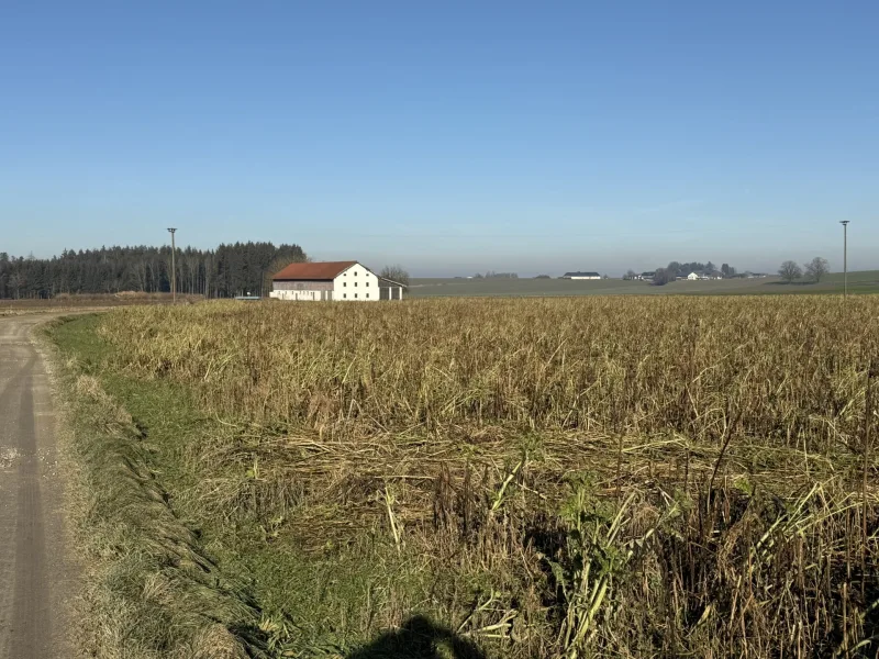 zeitnahe Eigennutzung machbar